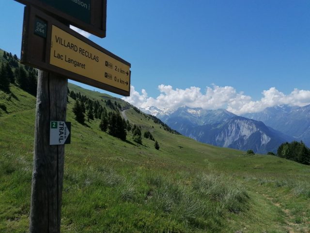 Forêt de l’ours