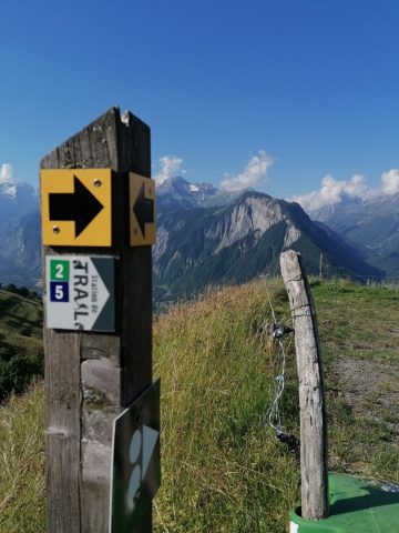 Forêt de l’ours