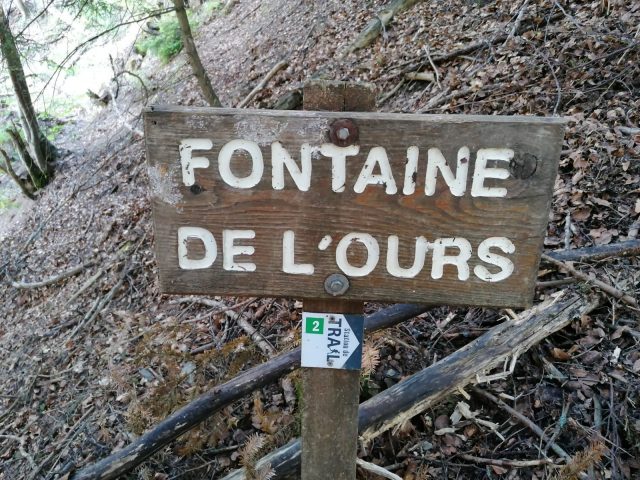 Forêt de l’ours