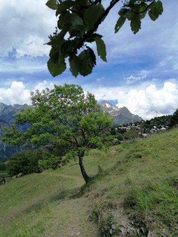 Les Balcons de l’Oisans