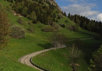 La Montée de l’Alpe – n°5 – Bleu