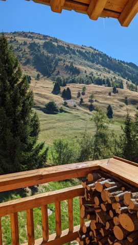 Balcon vue été