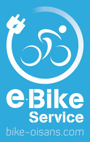 E-Bike Service