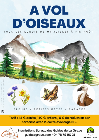 avoldoiseau2023.png