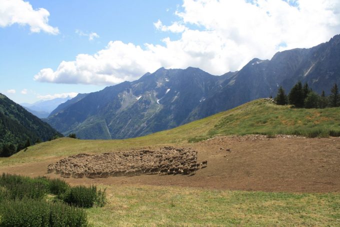 Alpage d’Ornon