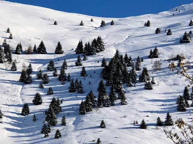 Chalet le Tanguy_Villard-Reculas