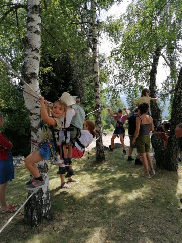 Grimpe dans les arbres
